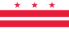 USA - Washington DC flag